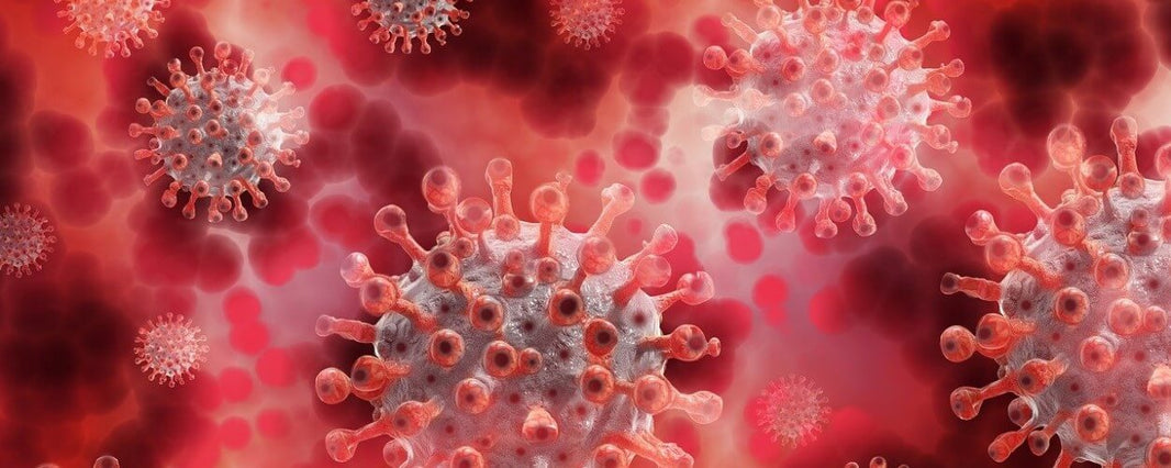 How Does the Coronavirus Vaccine Work? A UK Guide