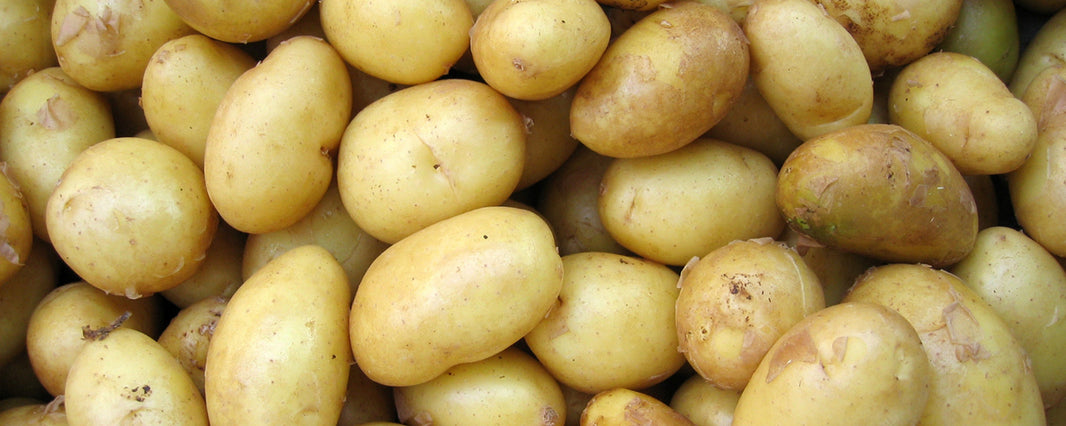 It’s National Potato Day!