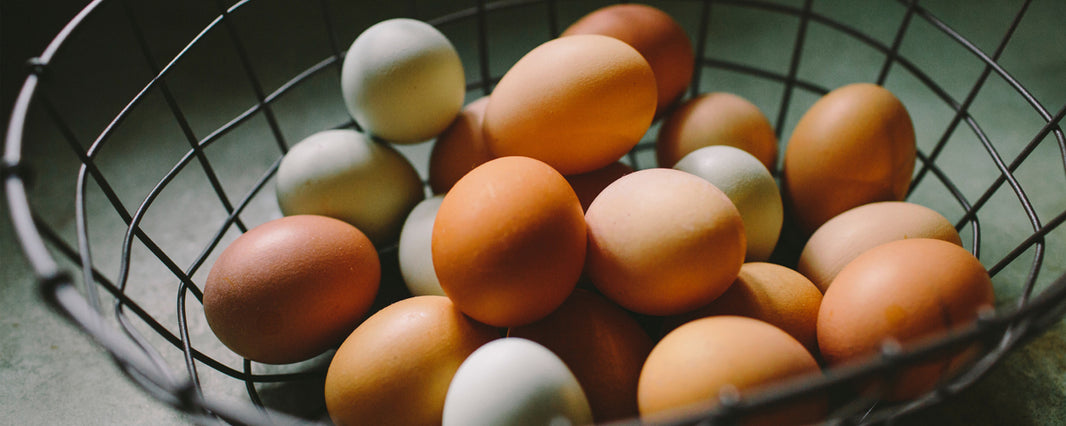 News: Eggs Declared Safe For Elderly 30 Years After Salmonella Scare