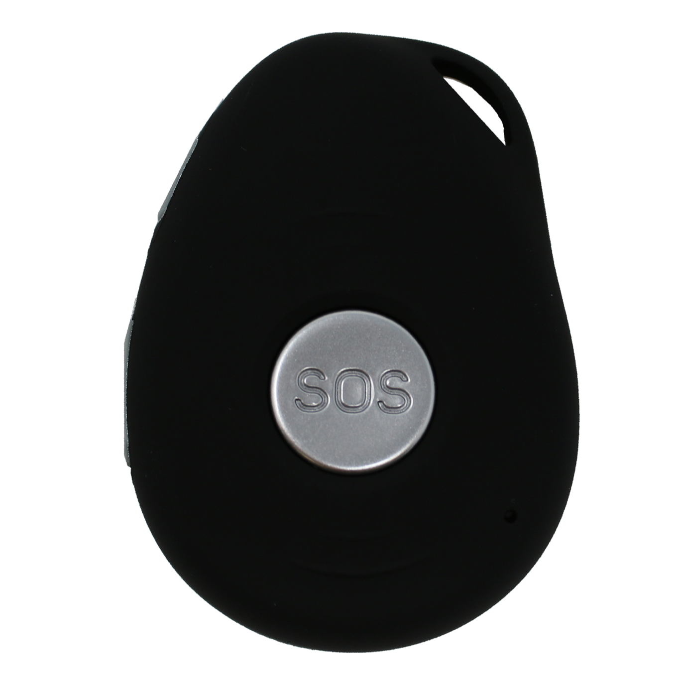 GPS Pendant